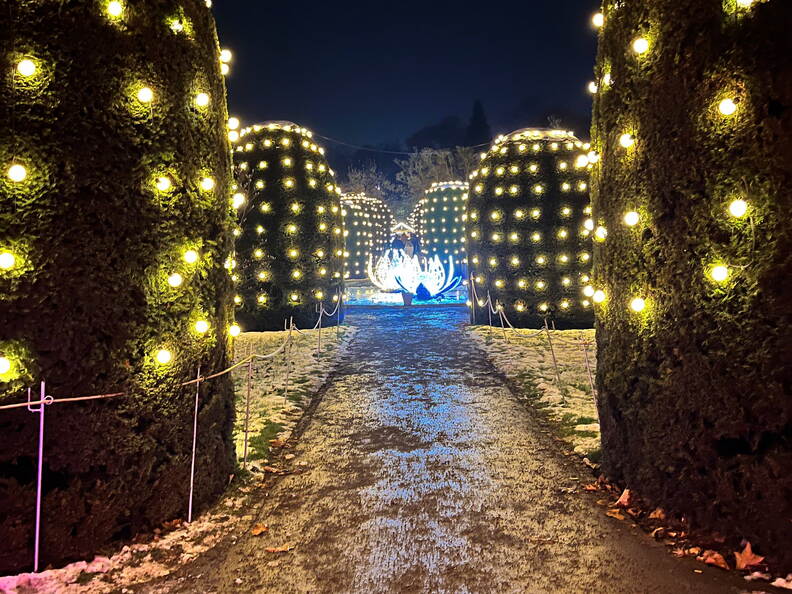 22-12-19 20-00-07 3682